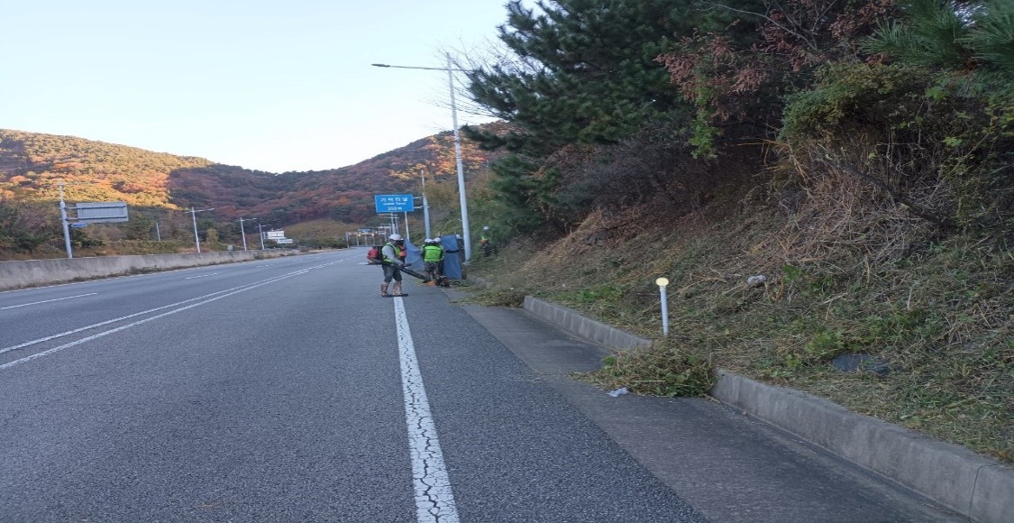 가덕터널진입도로 일원 천성ic 일원 예초 중4