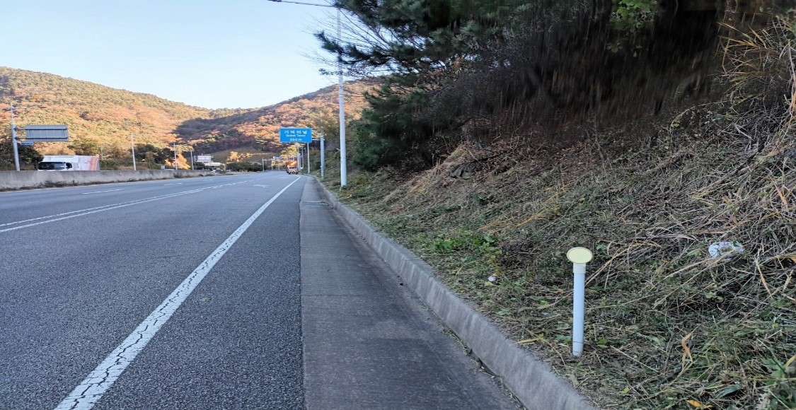 가덕터널진입도로 일원 천성ic 일원 예초 후4