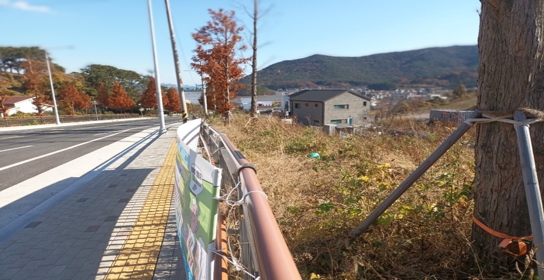 가덕터널진입도로 일원 천성ic 일원 예초 전5