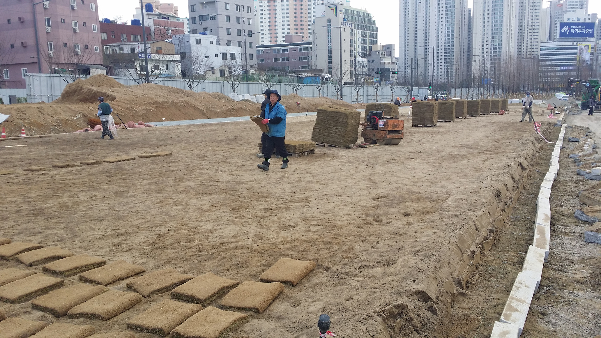광장3잔디식재2