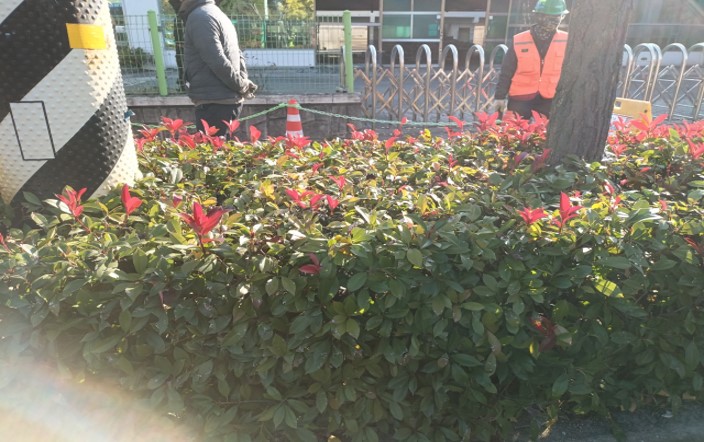 삼락동 416-2 작업 전1