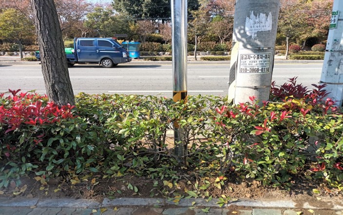 삼락동 416-2 작업 후1