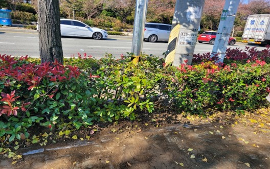 삼락동 416-2 작업 후2