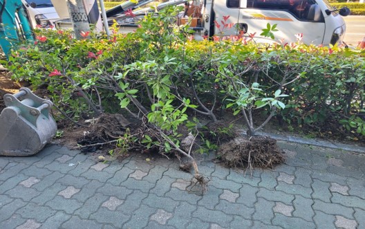 삼락동 415-20 작업 중