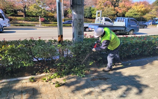 삼락동 415-20 작업 중3