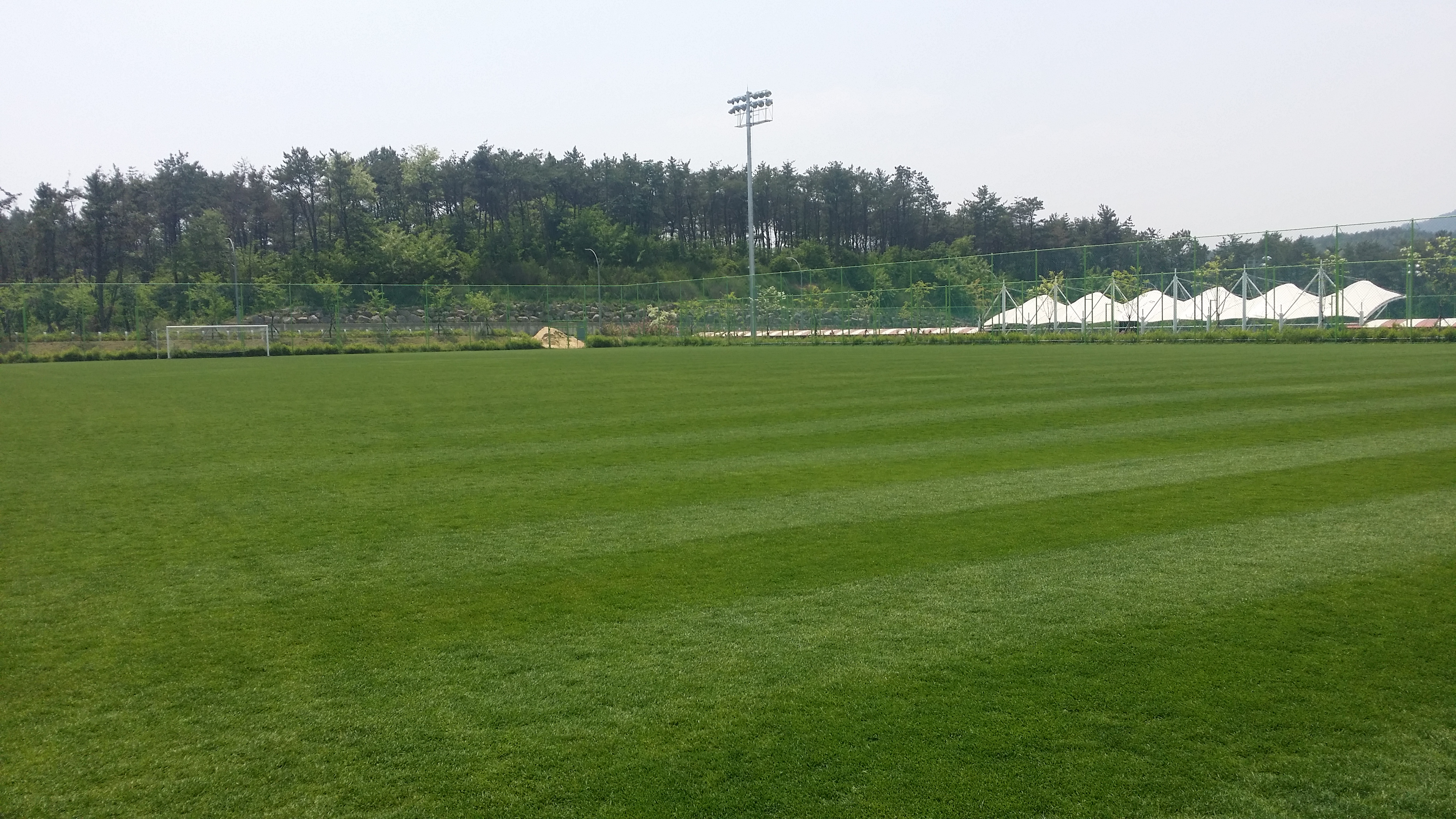 축구장 전경(A)