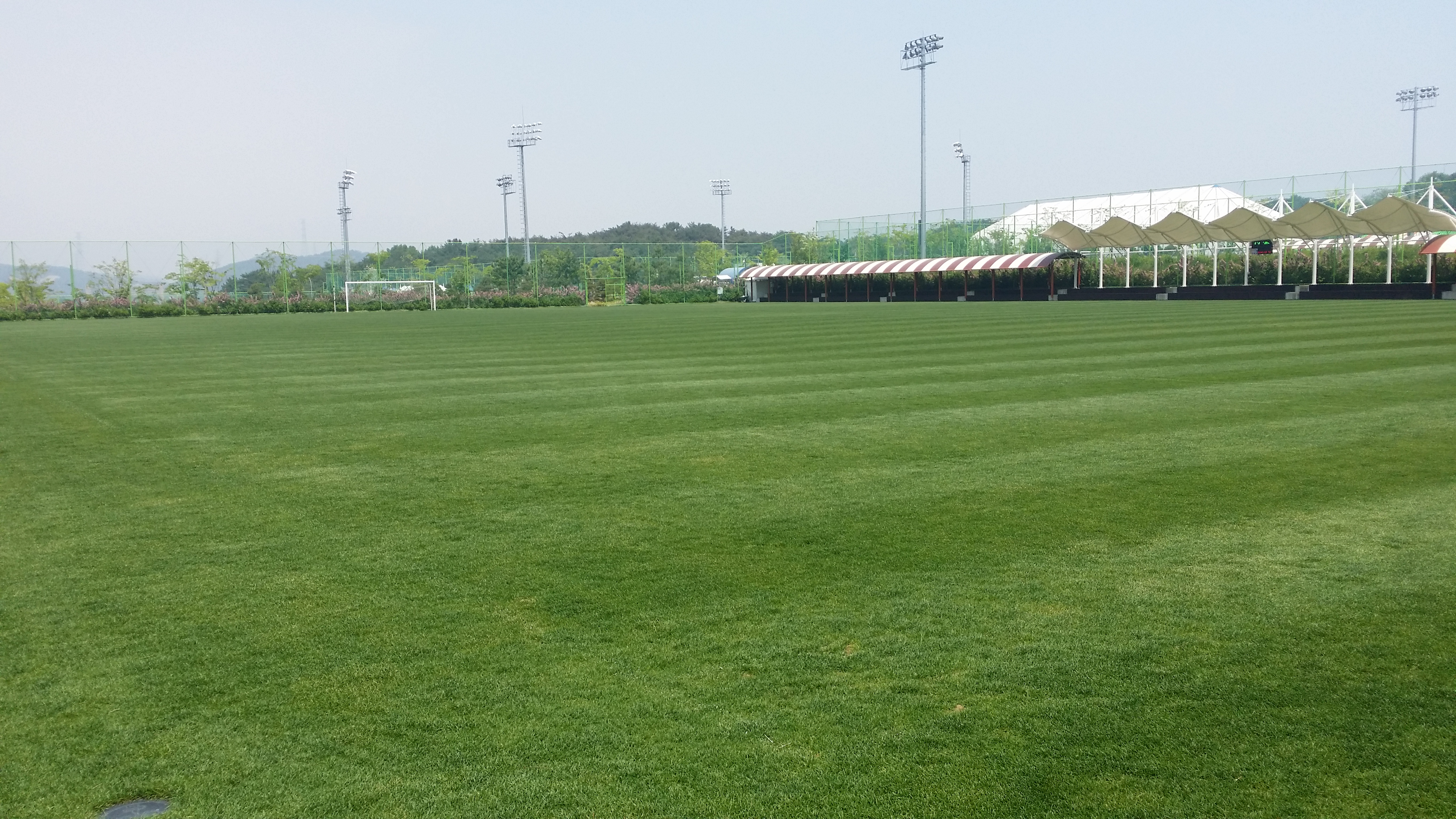축구장 전경(B)